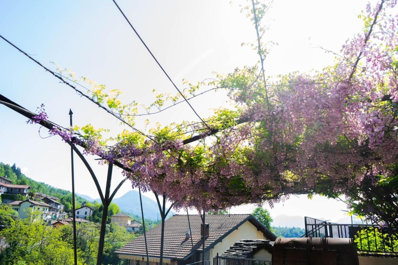 Guesthouse Giulietta E Romeo Cossogno Exterior photo